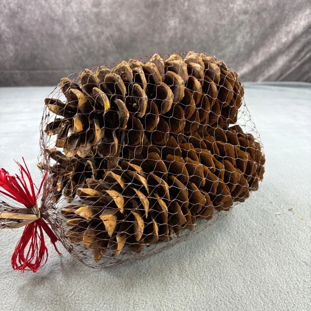 Large Natural Decorative Pine Cones Set of 3 Brown Mesh Bag Red Bow Rustic Decor